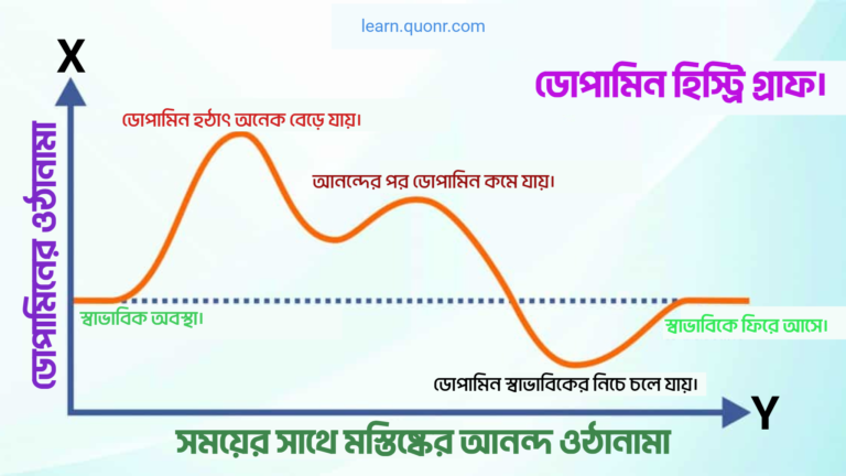 টিকটক, রিলস বা ইউটিউব শর্টস কেন বারবার দেখতে ইচ্ছা করে এবং এটা কি ব্রেইনের জন্য খারাপ?